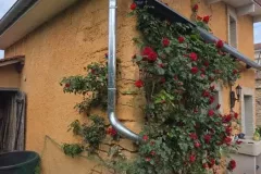 546046707_122280400172024222_4772313940202575528_n